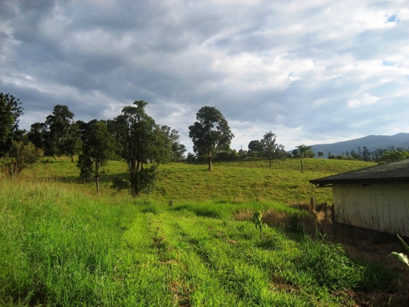 77 Mullins Road, Millaa Millaa QLD 4886