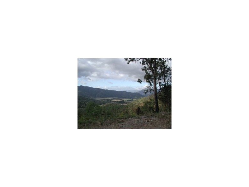77 Mullins Road, Millaa Millaa QLD 4886