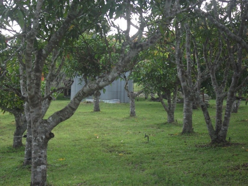 501 Mar Street, Koah QLD 4881