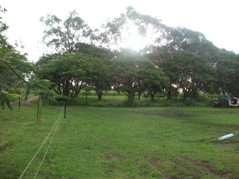 501 Mar Street, Koah QLD 4881