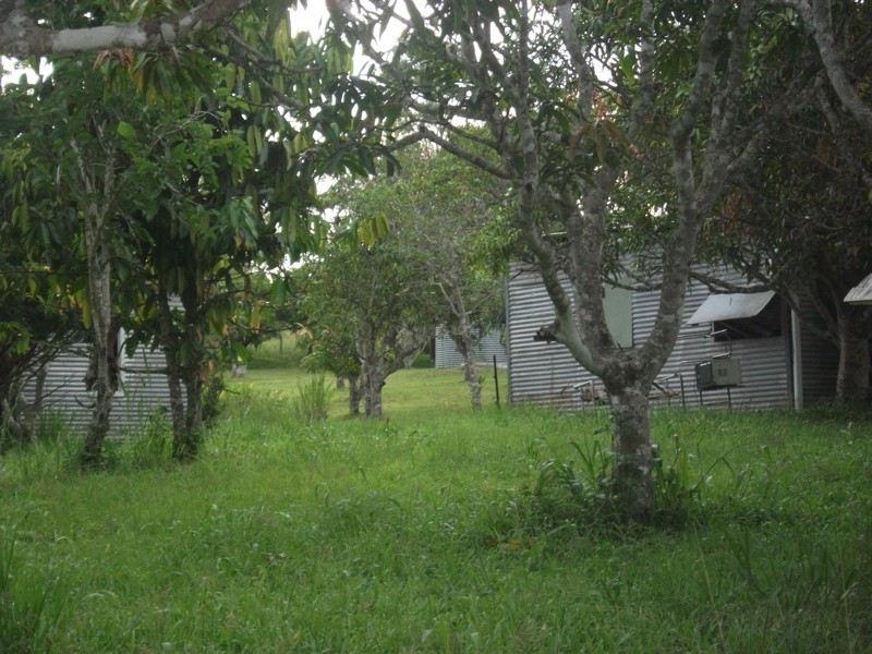 501 Mar Street, Kuranda QLD 4881