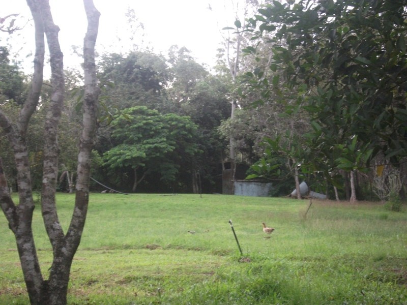 501 Mar Street, Kuranda QLD 4881