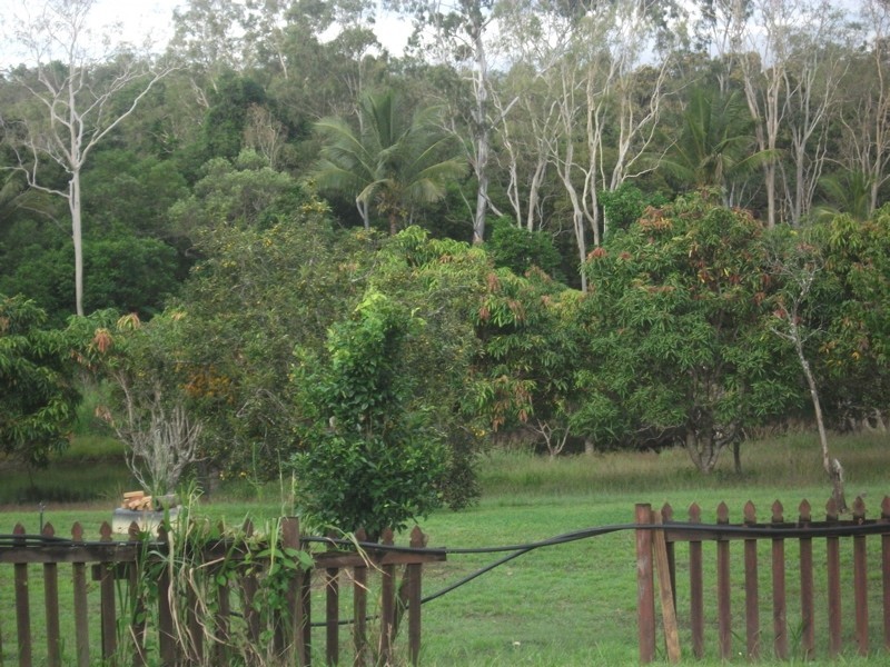 501 Mar Street, Kuranda QLD 4881