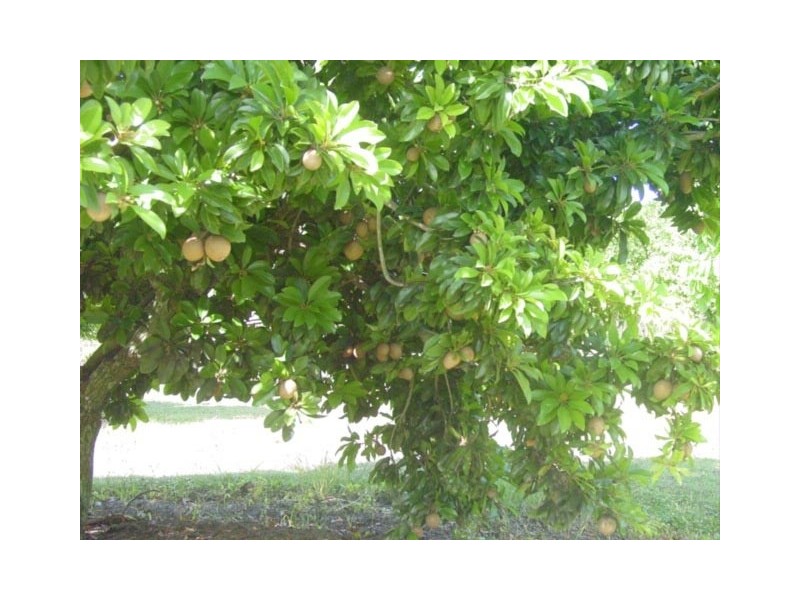 6 Bruce Hwy, Coolbie QLD 4850