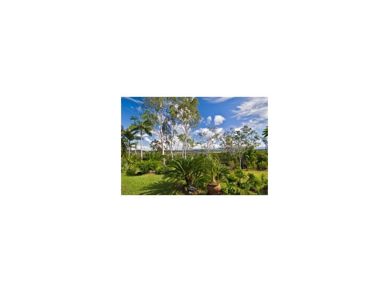 Yungaburra QLD 4884