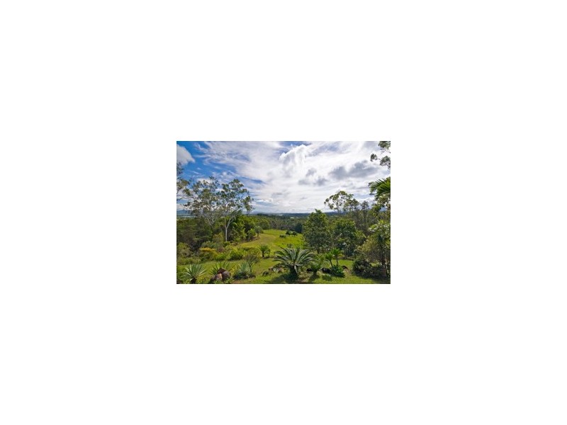 Yungaburra QLD 4884