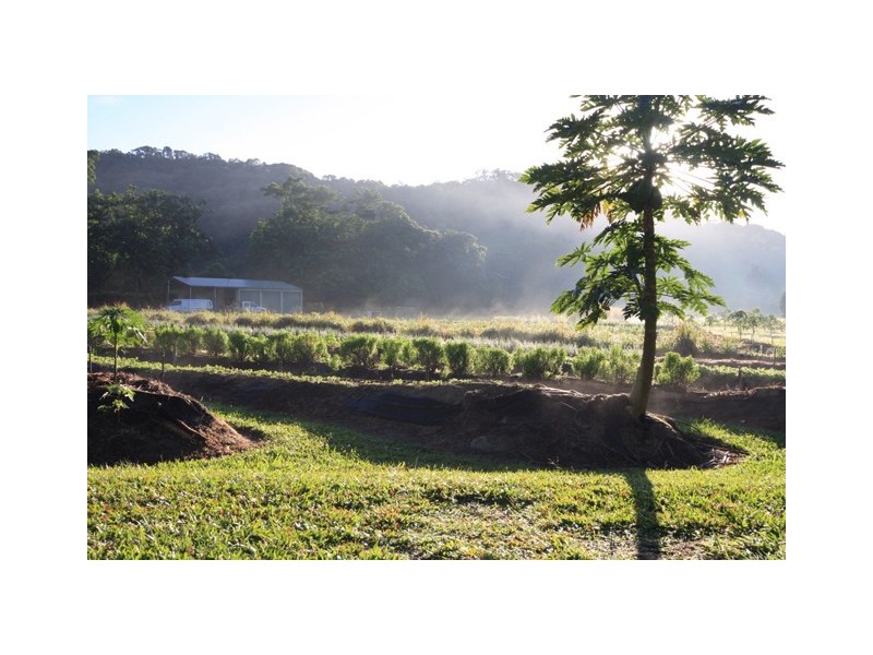 69 Churchill Road, Julatten QLD 4871