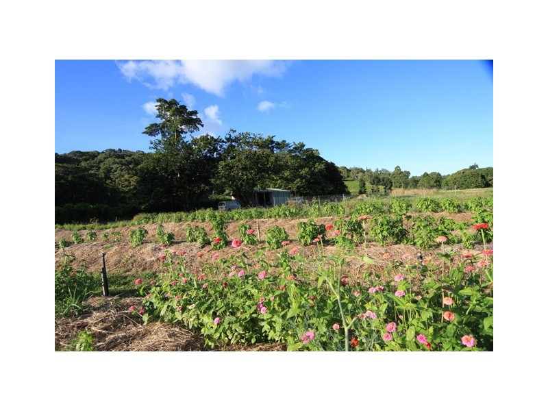 69 Churchill Road, Julatten QLD 4871