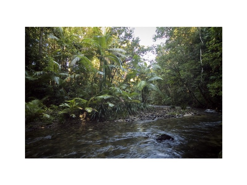 69 Churchill Road, Julatten QLD 4871