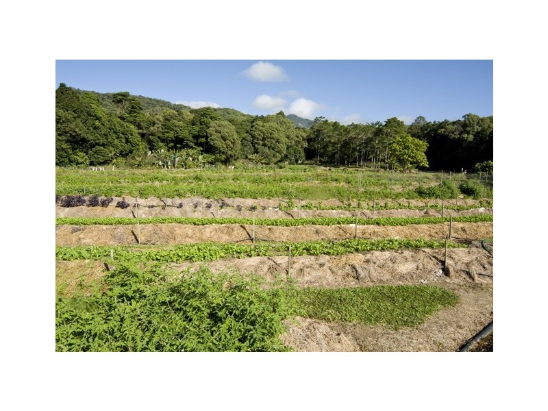 69 Churchill Road, Julatten QLD 4871