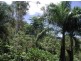 Earlville QLD 4870