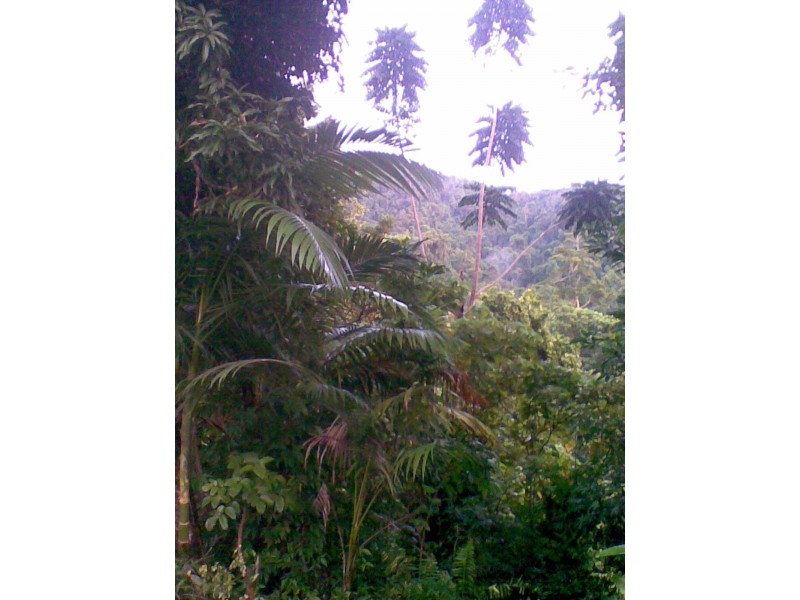 64 Christian Street, Babinda QLD 4861