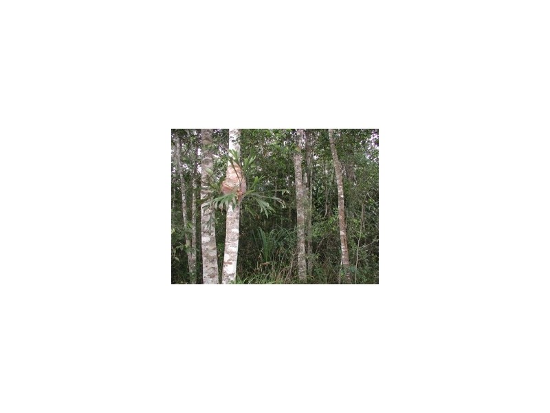 33 Mahogany, Speewah QLD 4881