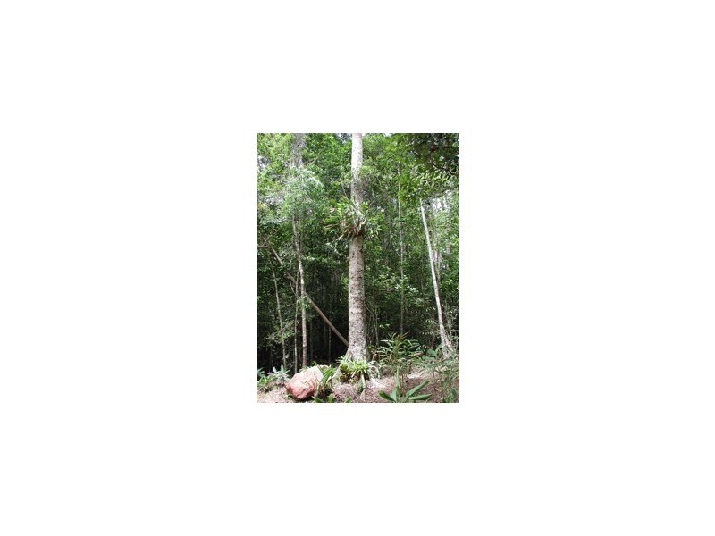 33 Mahogany, Speewah QLD 4881