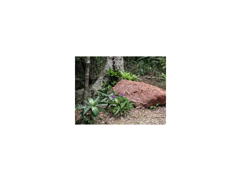 33 Mahogany, Speewah QLD 4881