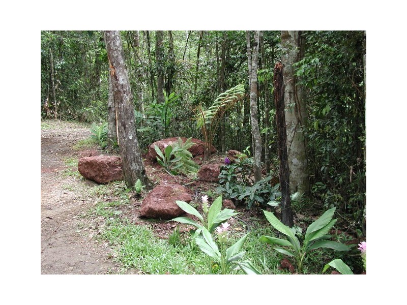 33 Mahogany Avenue, Kuranda QLD 4881