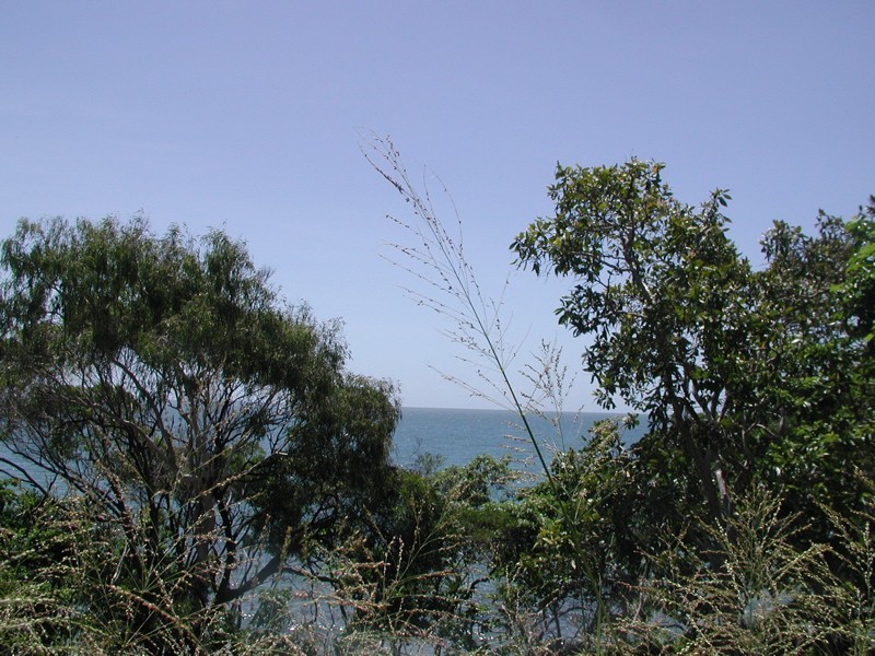 Mowbray QLD 4877