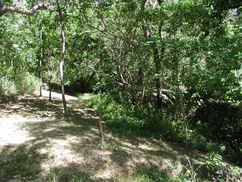 Mowbray QLD 4877