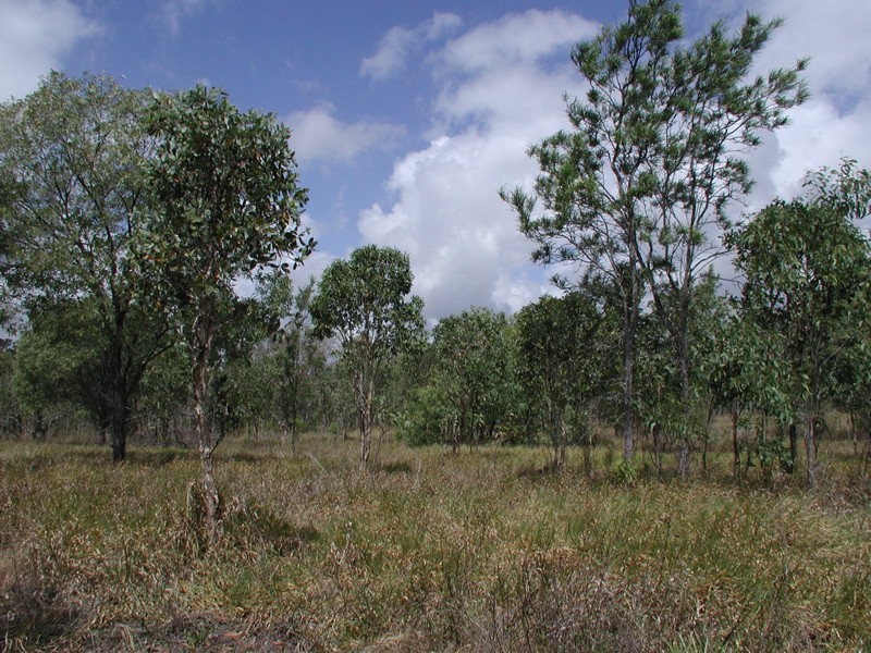 198 Popovic Road, Koah QLD 4881