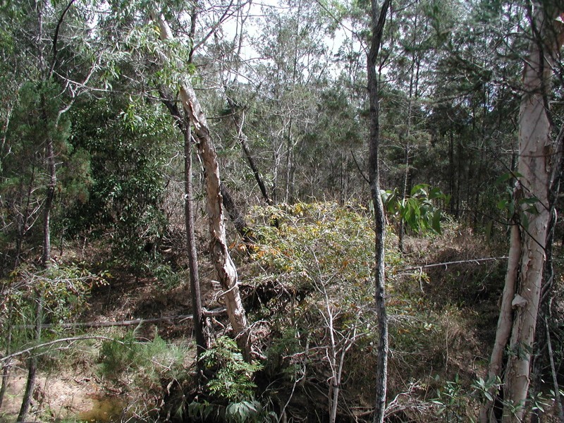 198 Popovic Road, Koah QLD 4881