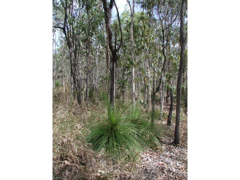 198 Popovic Road, Koah QLD 4881