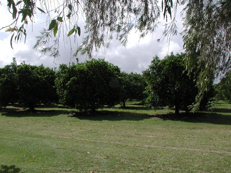 198 Popovic Road, Koah QLD 4881