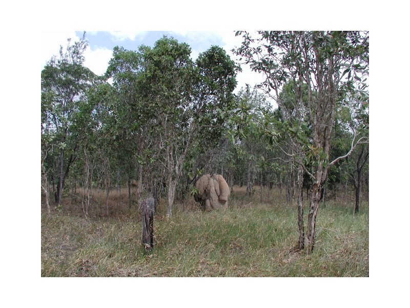 198 Popovic Road, Kuranda QLD 4881