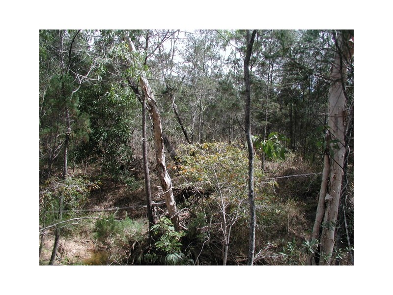 198 Popovic Road, Kuranda QLD 4881