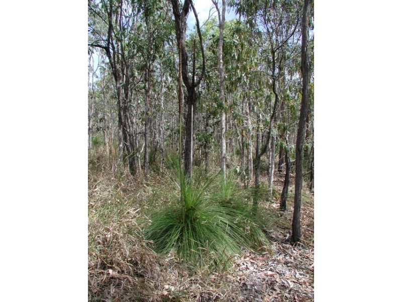 198 Popovic Road, Kuranda QLD 4881