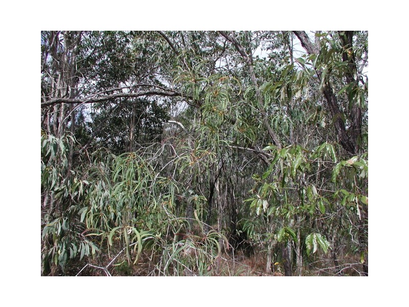 198 Popovic Road, Kuranda QLD 4881