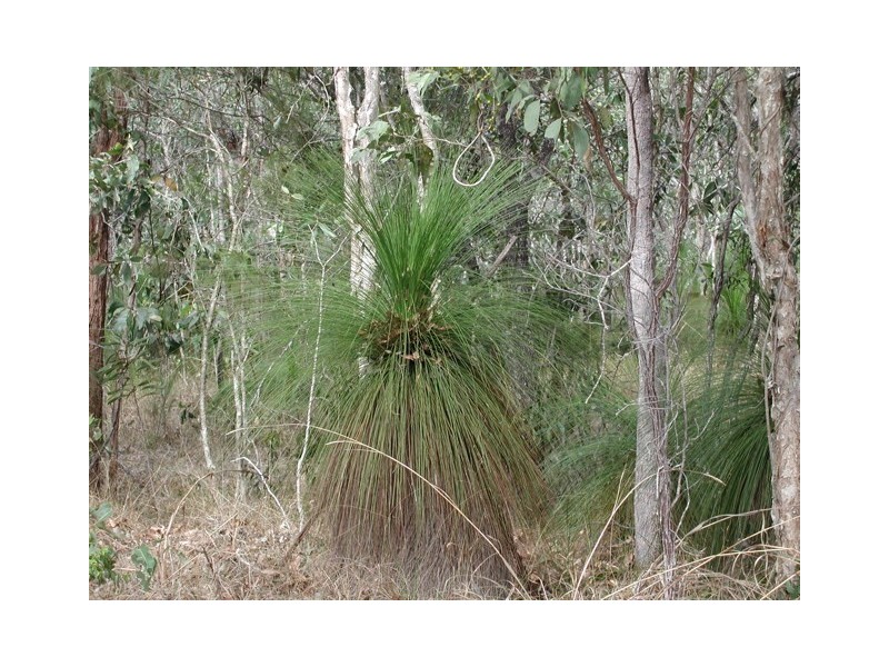 198 Popovic Road, Kuranda QLD 4881