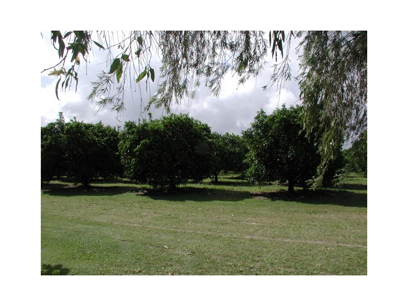 198 Popovic Road, Kuranda QLD 4881