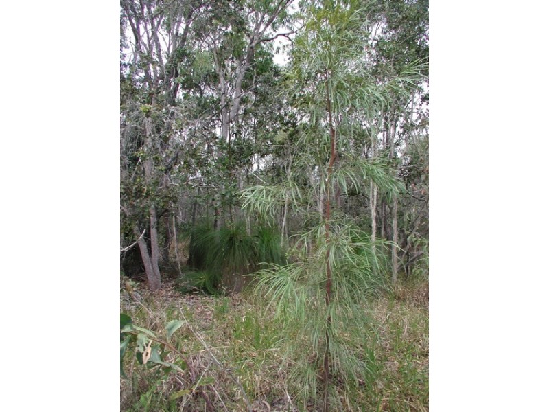 198 Popovic Road, Kuranda QLD 4881