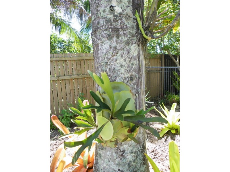 10/389-397 McCoombe Street, Cairns QLD 4870