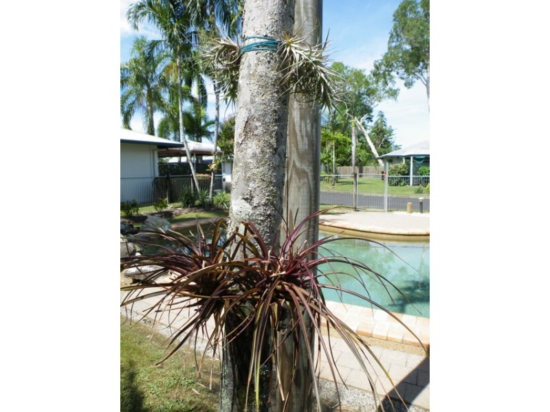 10/389-397 McCoombe Street, Cairns QLD 4870