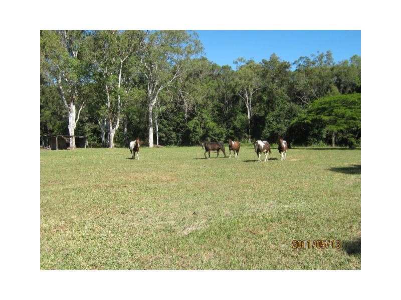 56 Speewah Road, Kuranda QLD 4881