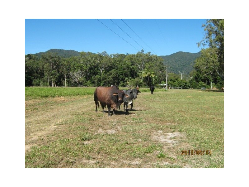 56 Speewah Road, Kuranda QLD 4881