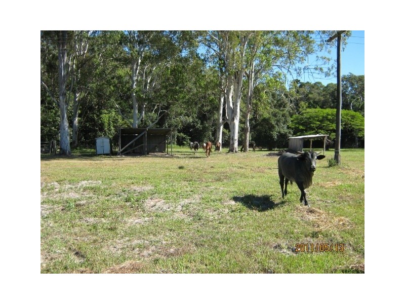56 Speewah Road, Kuranda QLD 4881