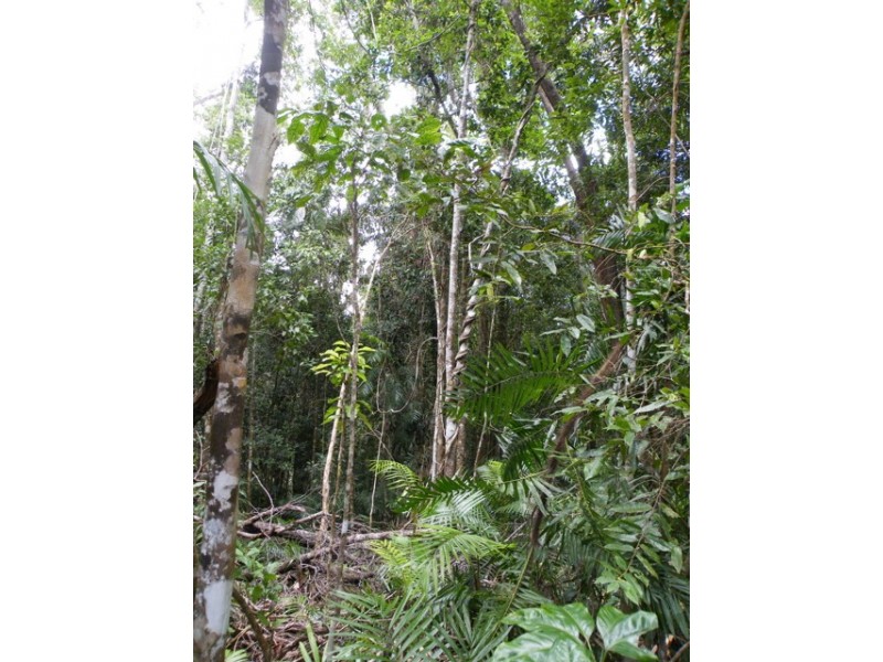 492 Speewah Road, Speewah QLD 4881