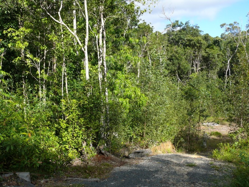 492 Speewah Road, Kuranda QLD 4881