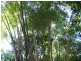 492 Speewah Road, Kuranda QLD 4881