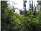 492 Speewah Road, Kuranda QLD 4881