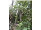 492 Speewah Road, Kuranda QLD 4881