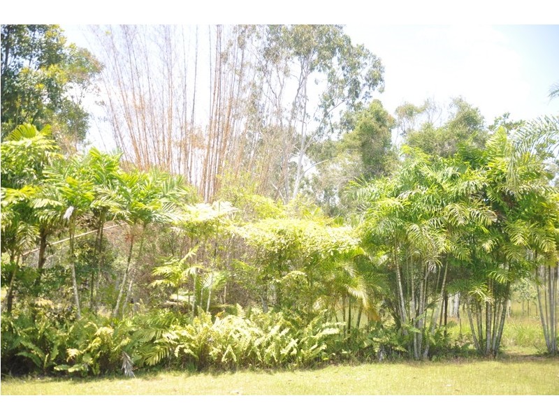 4163 Black Mountain Road, Julatten QLD 4871