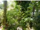 Palm Cove QLD 4879
