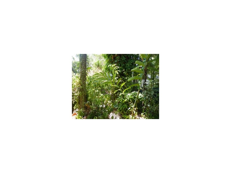 Palm Cove QLD 4879