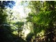 Kuranda QLD 4881
