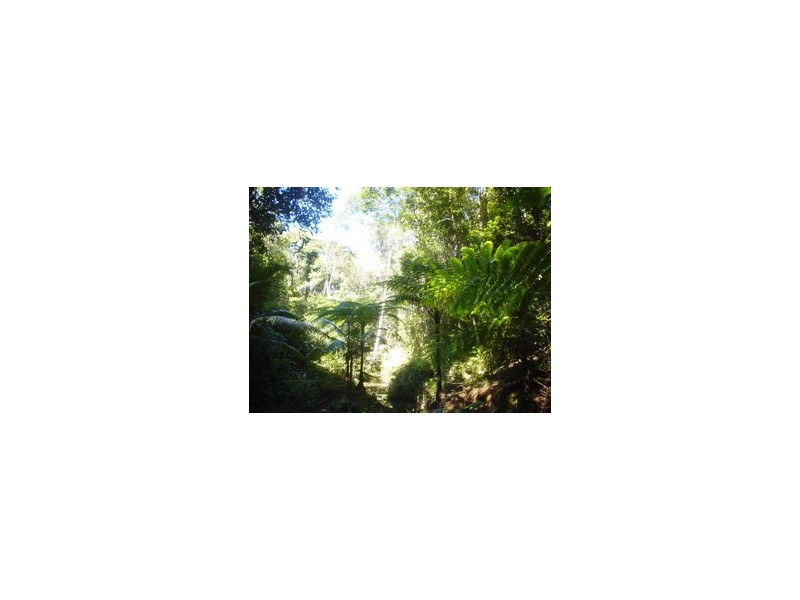 Kuranda QLD 4881