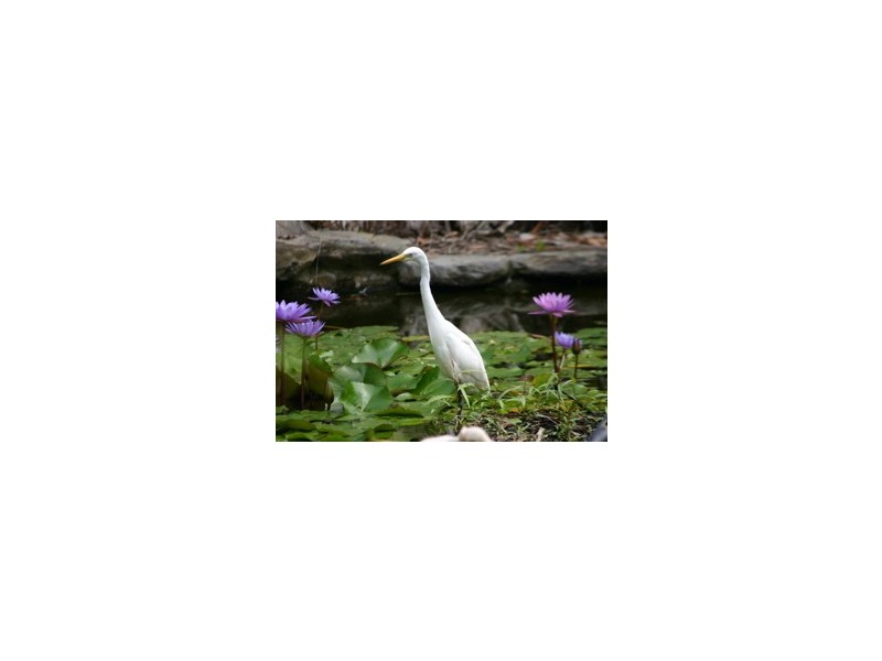 Port Douglas QLD 4877