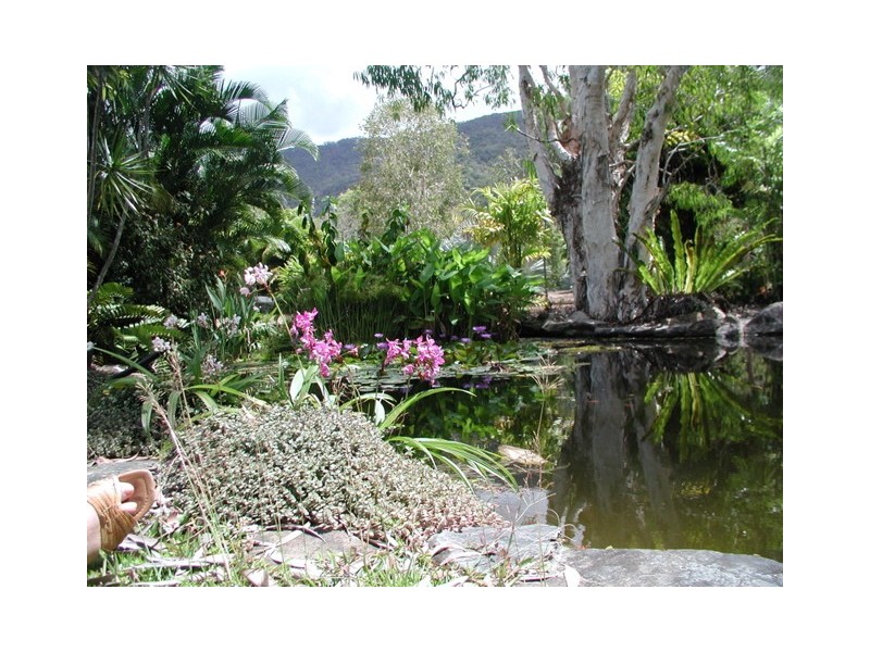 Port Douglas QLD 4877